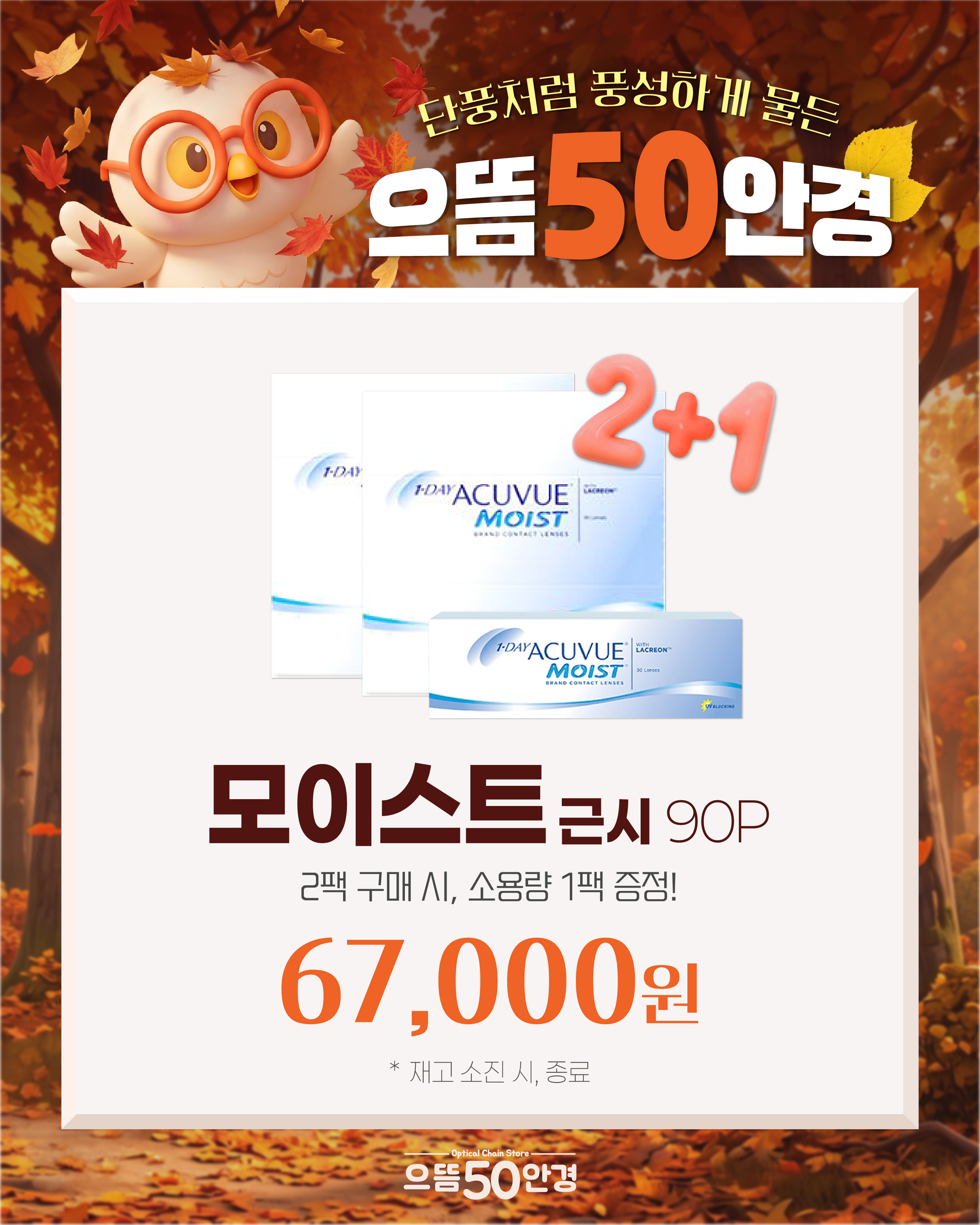모이스트