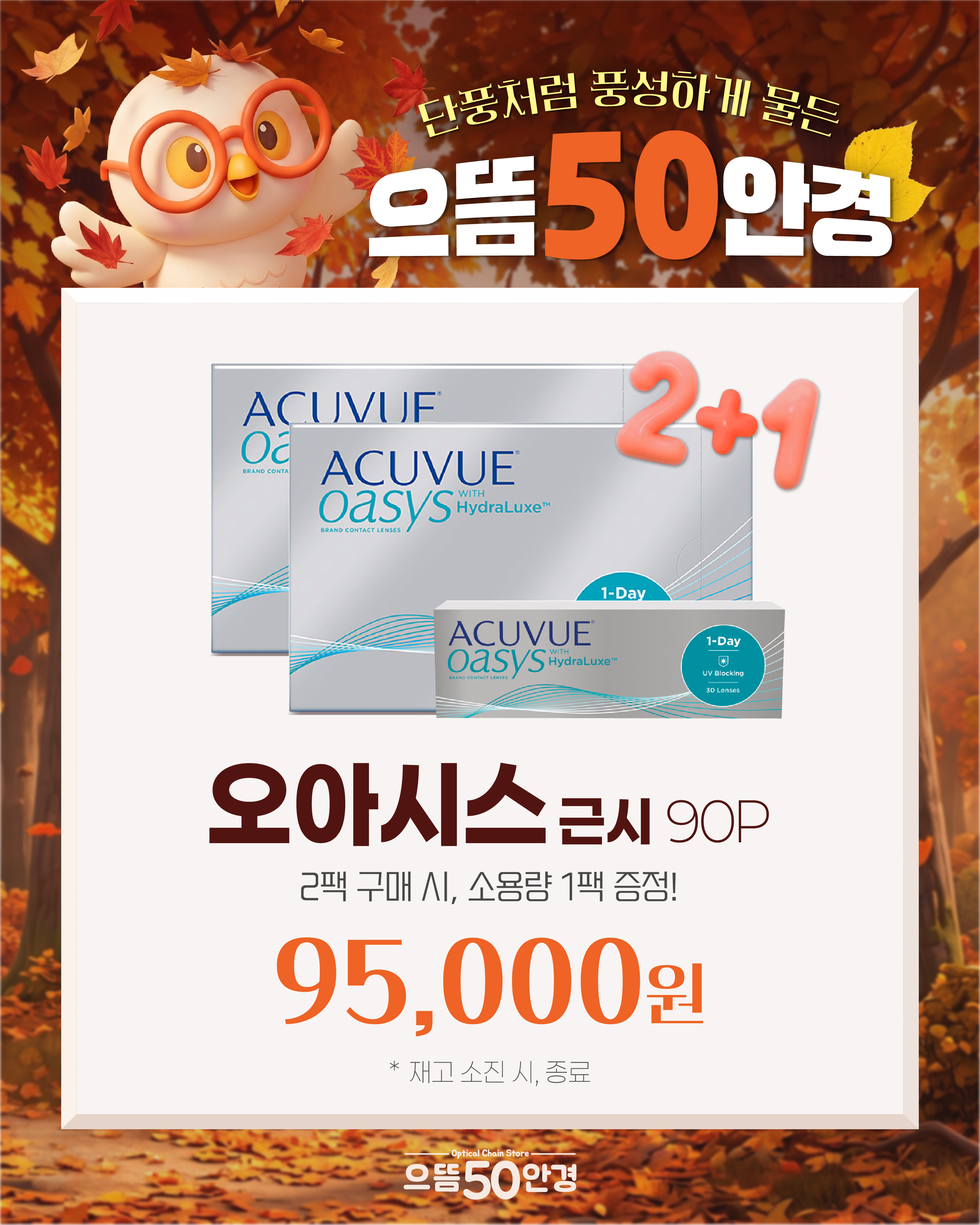 오아시스 원데이