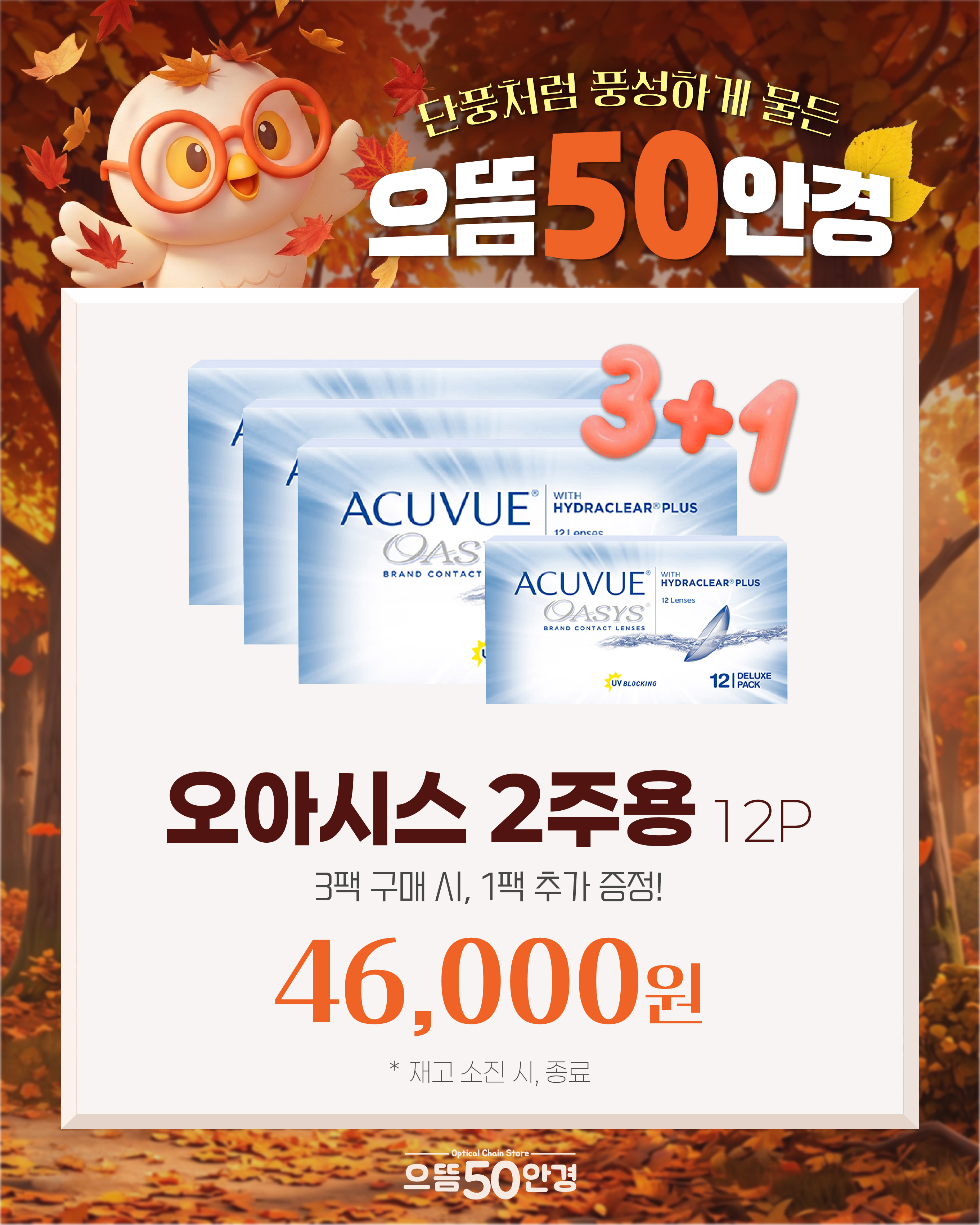 오아시스 (2주용)